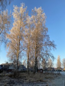 BA4D8887-1FAD-4707-BD5F-DD0ECCD02FAD.jpeg