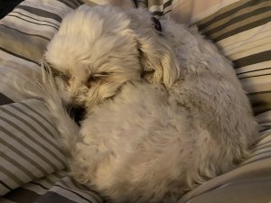IMG_0609.jpeg