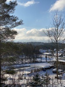IMG_0618.jpeg