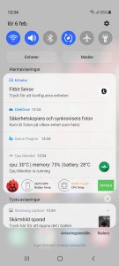 Screenshot_20210206-133458_One UI Home (1).jpg