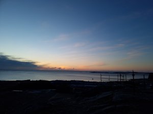 20210207_165328.jpg