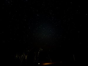 20210207_195310.jpg