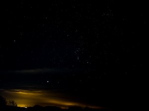 20210207_195120.jpg