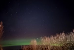 20210208_214913~2.jpg