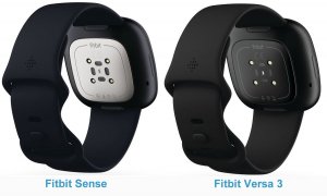 fitbit-sense-back-versa-3-back.jpg