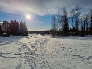 20210213_141003.jpg