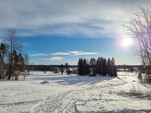 20210213_140629.jpg