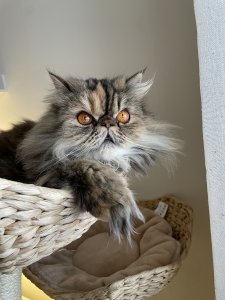 C875D6DD-E475-420C-925B-AD14F262EC52.jpeg
