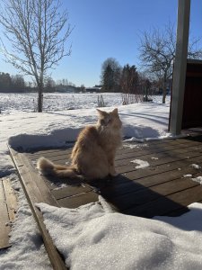 IMG_0369.jpg