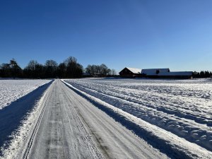 IMG_0375.jpg