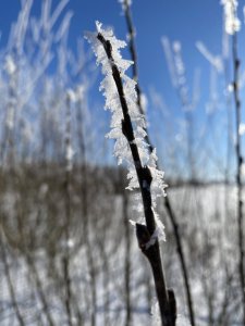 F3D65156-8DCD-43E9-9184-AA826F91BA8C.jpeg
