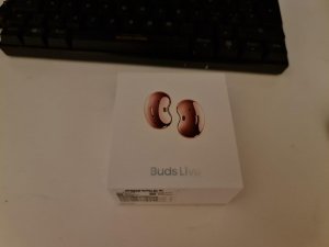 Buds.jpg