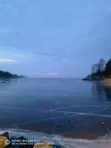 IMG_20210221_175314.jpg