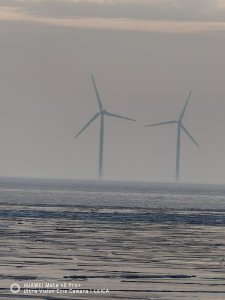 IMG_20210221_152357.jpg