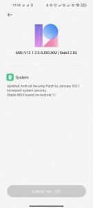 Screenshot_2021-02-26-17-13-12-265_com.android.updater.jpg