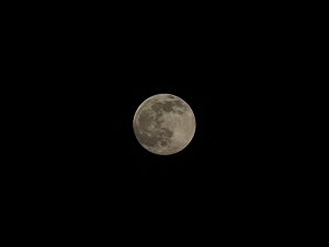 20210226_175824.jpg