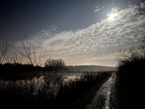 E26985E9-23B0-454E-9357-BD94F1DC2F6B.jpeg