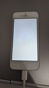 IMG_20210303_132415.jpg