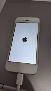 IMG_20210303_132409.jpg