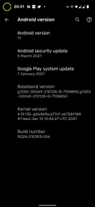 Screenshot_20210303-203150.png