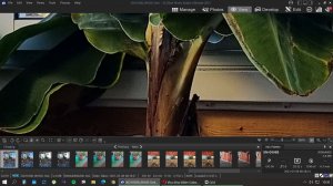 bandicam 2021-03-08 10-30-26-658.jpg