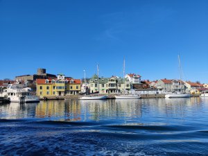 IMG_20210308_103912.jpg