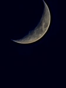 20210318_183455.jpg