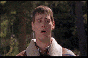 1FB28AC1-E866-43B1-9C9E-E49B2F6D5459.gif