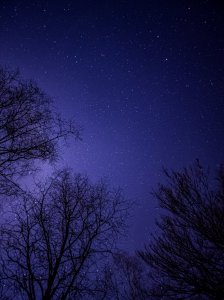 20210321_214453.jpg