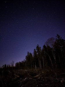 20210321_204314.jpg