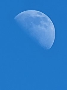 20210322_141813.jpg
