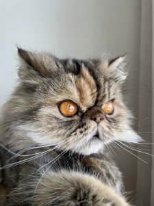 27D8943C-A9A7-4629-947F-1BF4B4E30B66.jpeg