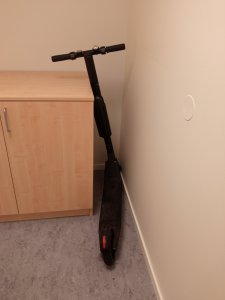 IMG_20210329_073539.jpg