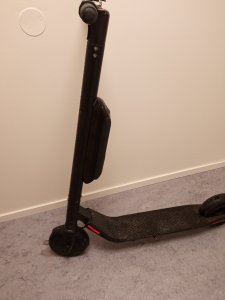 IMG_20210329_073556.jpg