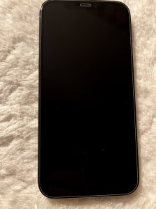 Ipone 12 P.jpg