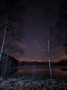 20210406_222135.jpg