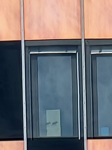 20210415_134442.jpg