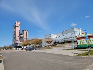 20210415_134532.jpg