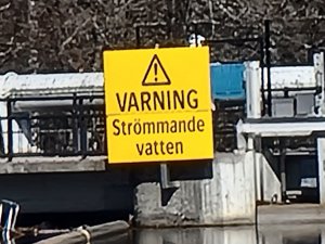 20210417_142243.jpg