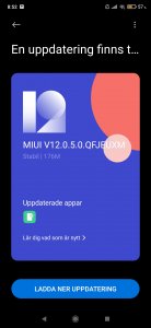 Screenshot_2021-04-21-08-52-38-274_com.android.updater.jpg