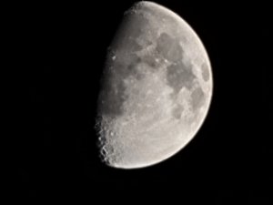 IMG_20210422_013814_176.jpg