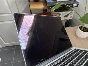 IMG_2907.jpeg