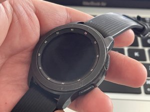 IMG_0460.jpeg