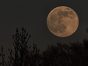 20210426_203457.jpg