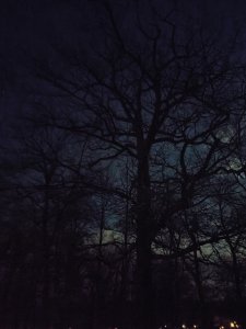 IMG_20210426_230802.jpg