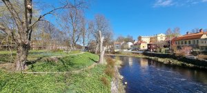 20210507_144208.jpg