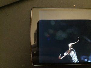 IMG_0029.JPG