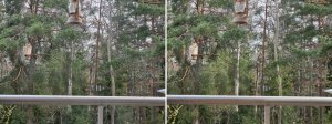 Rityta 3@0.5x-100.jpg