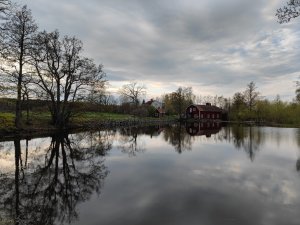 IMG_20210510_185214.jpg