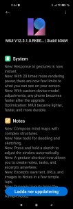 Screenshot_2021-05-13-11-04-52-456_com.android.updater.jpg